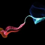 blue and red light illustration