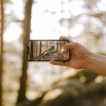a person taking a picture of a forest