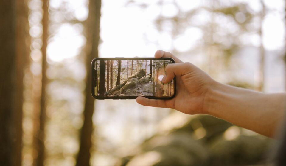 a person taking a picture of a forest