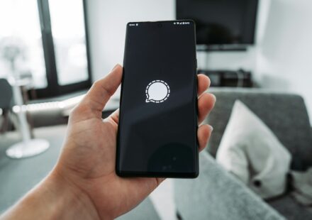 a hand holding a phone