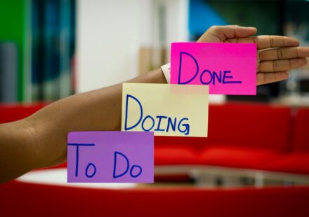 person holding purple and pink box