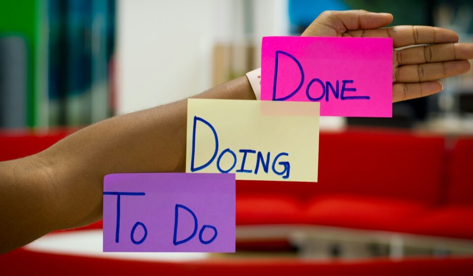 person holding purple and pink box